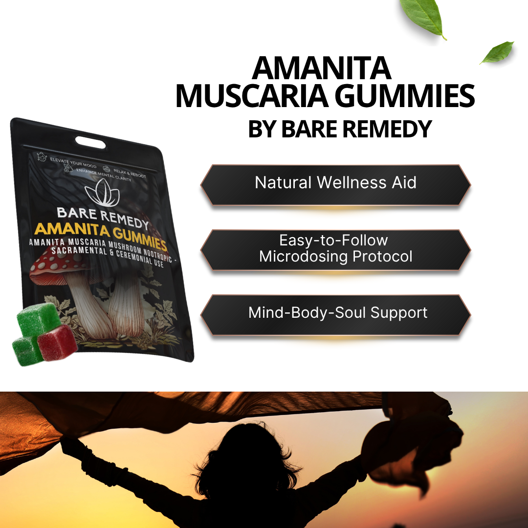 Amanita Gummies - 1 Pack (5 Gummies)