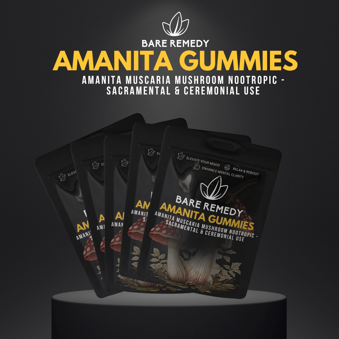 5 Pack Amanita Gummies - BareRemedy