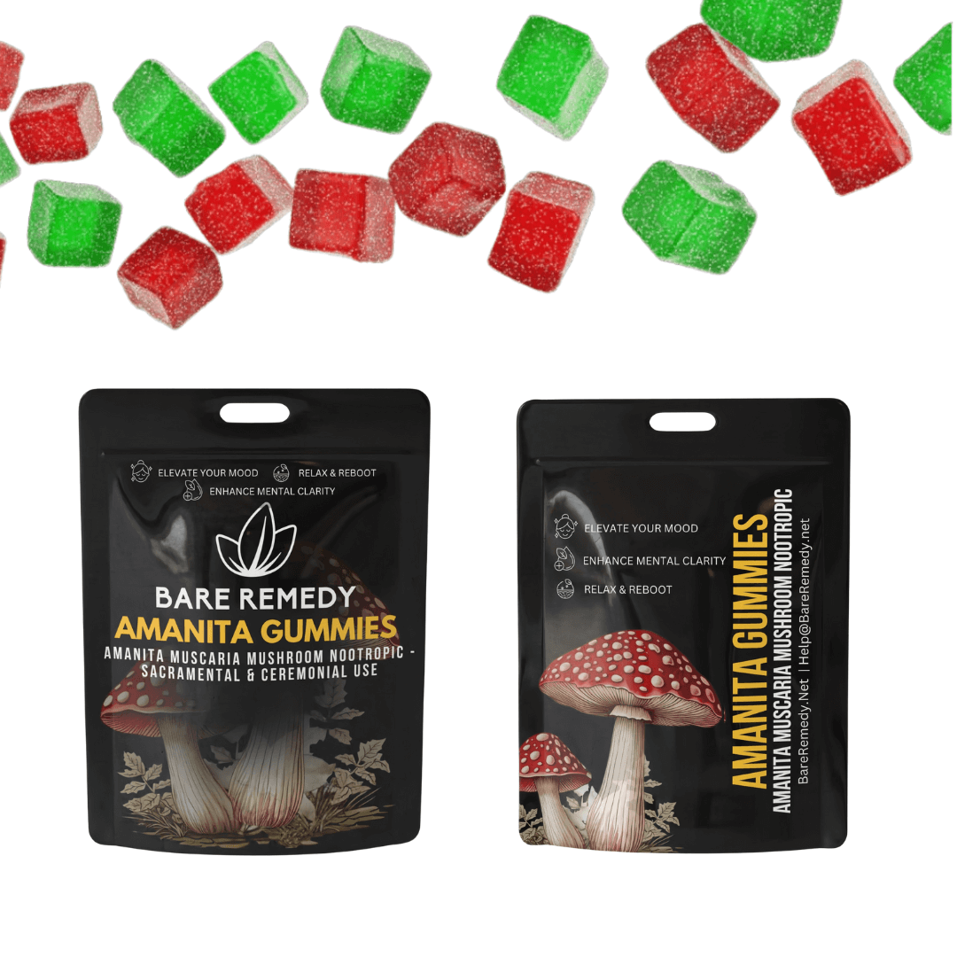 5 Pack Amanita Gummies - BareRemedy