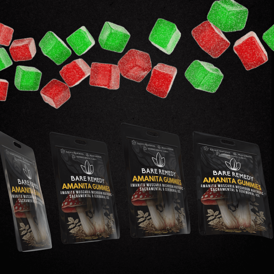 5 Pack Amanita Gummies - BareRemedy