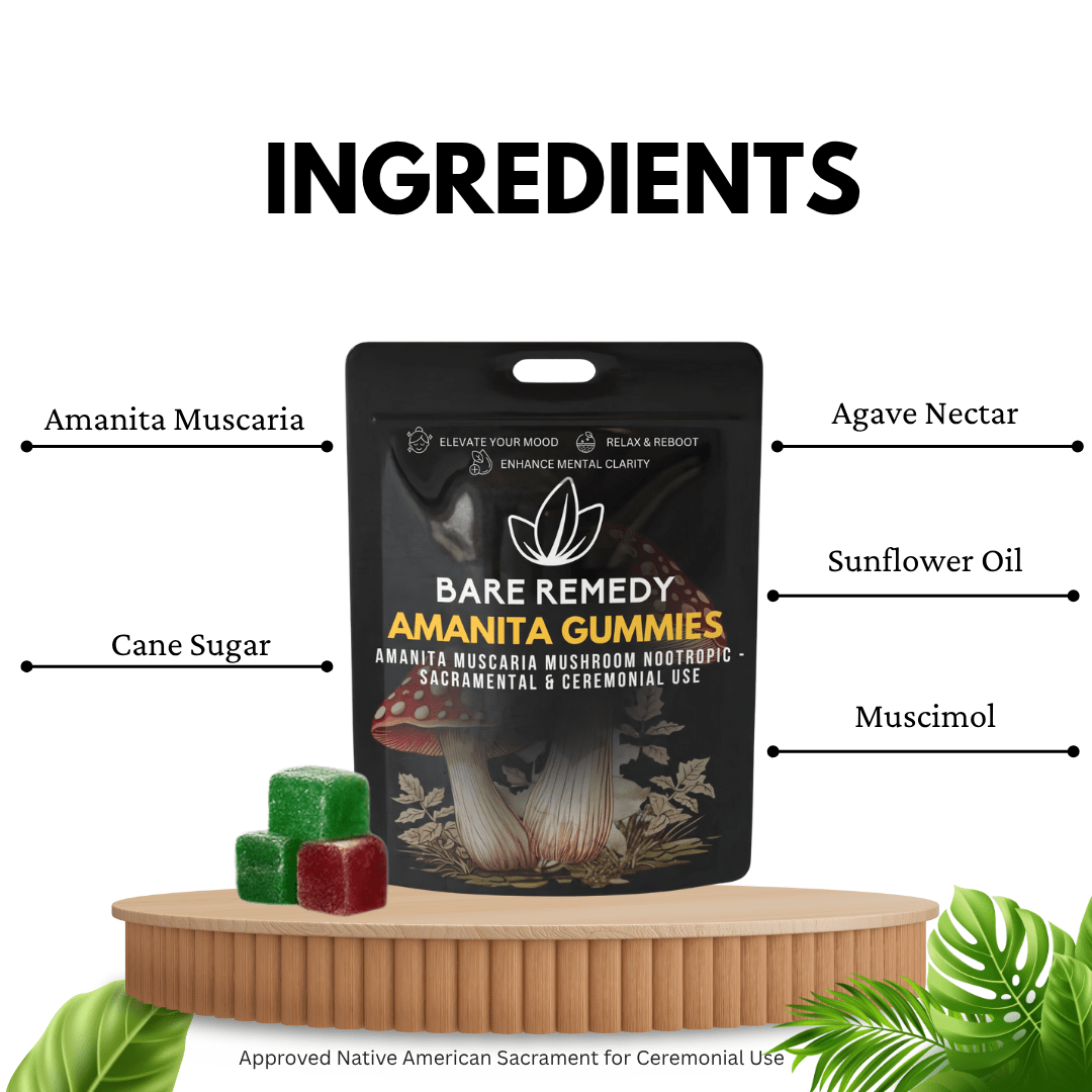 Amanita Gummies - 5 Pack - BareRemedy