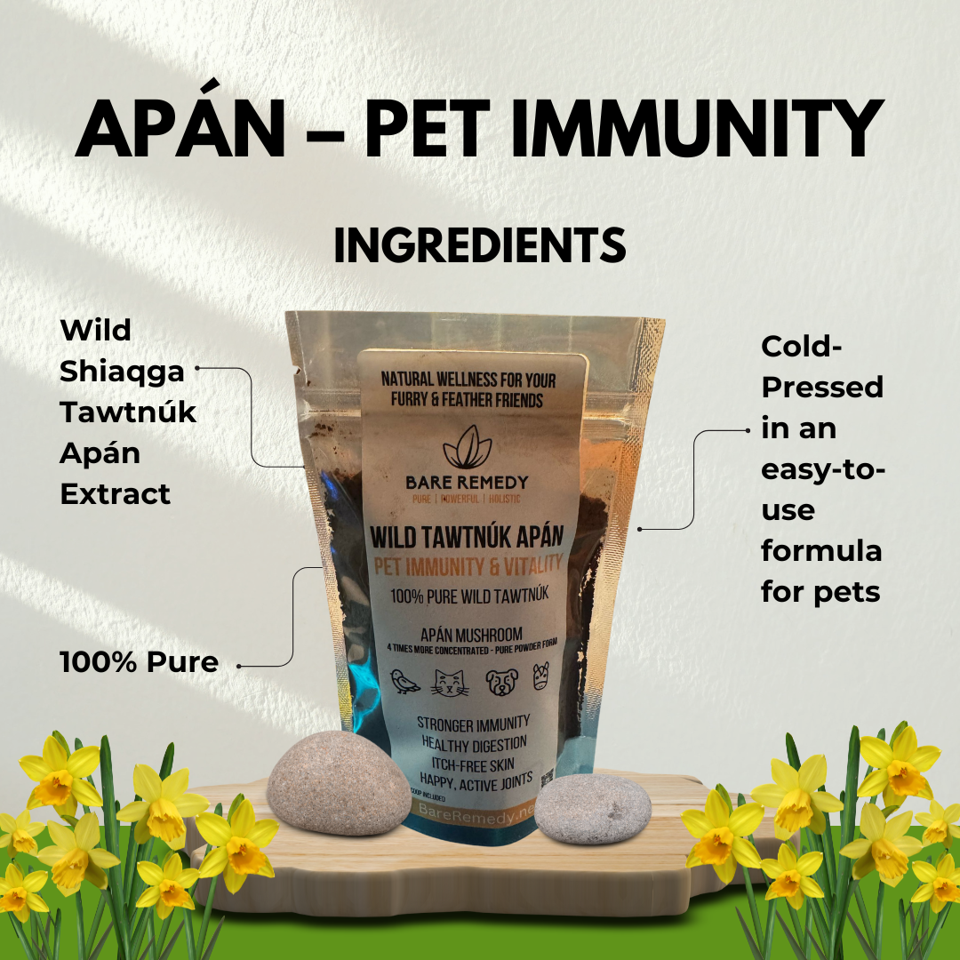 Apán - Pet Immunity - BareRemedy