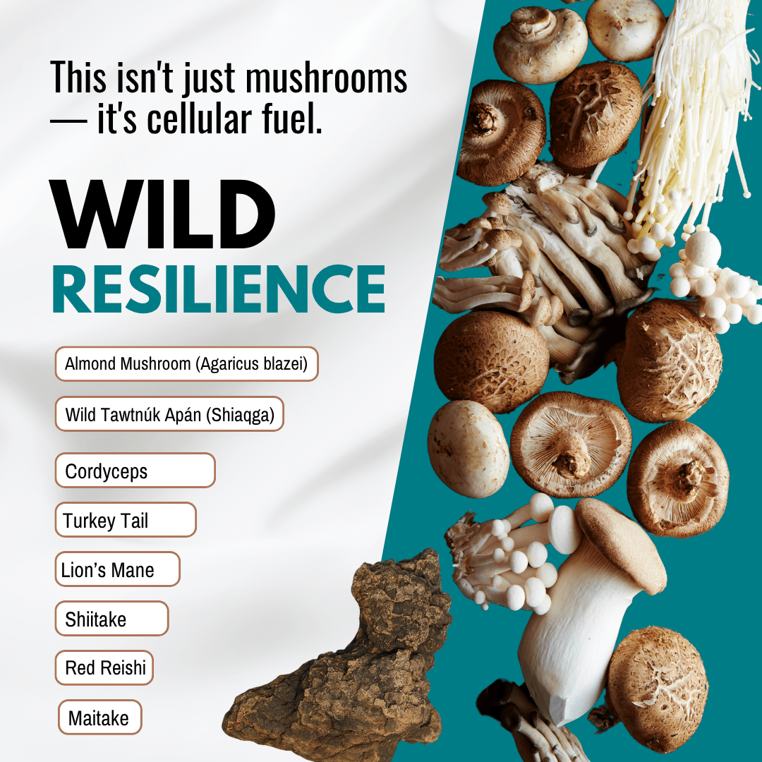 Wild Resilience - 15 ml - BareRemedy