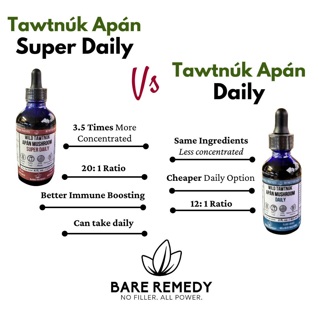 Wild Tawtnuk Apán Mushroom Daily (Children’s) - BareRemedy