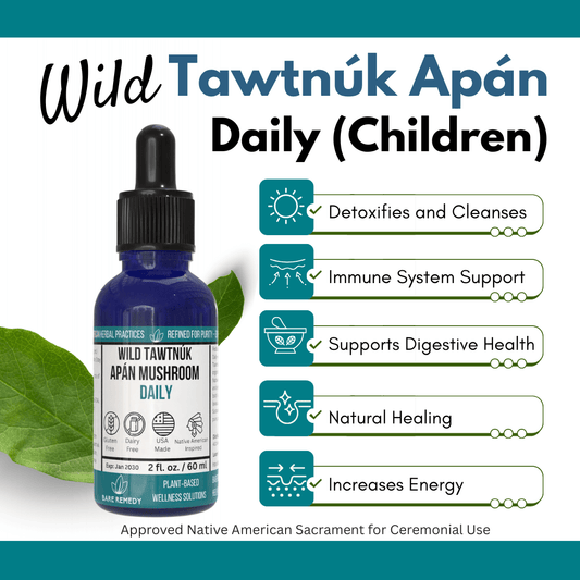 Wild Tawtnuk Apán Mushroom Daily (Children’s) - BareRemedy
