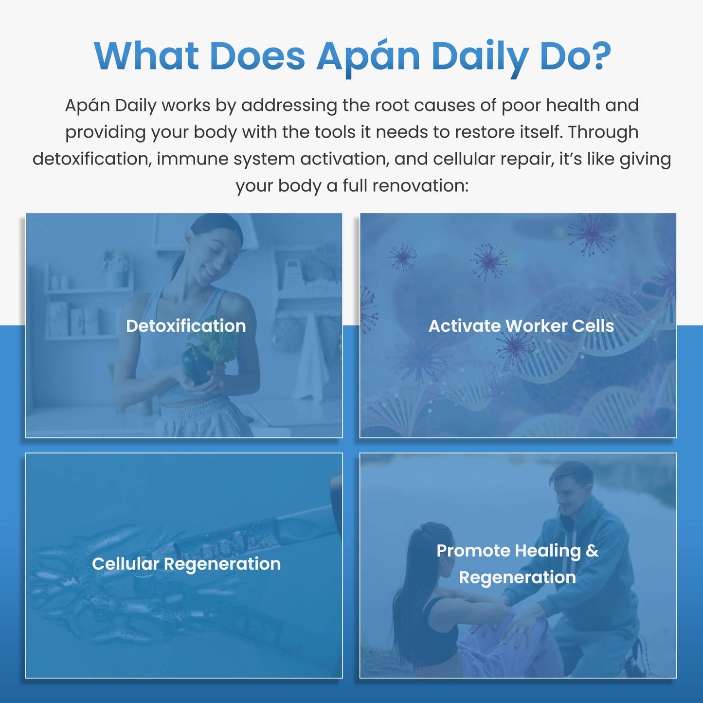 Wild Tawtnuk Apán Mushroom Daily (Children’s) - BareRemedy