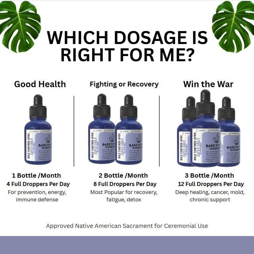 Wild Tawtnuk Apán Mushroom Super Daily (No Peppermint) - BareRemedy