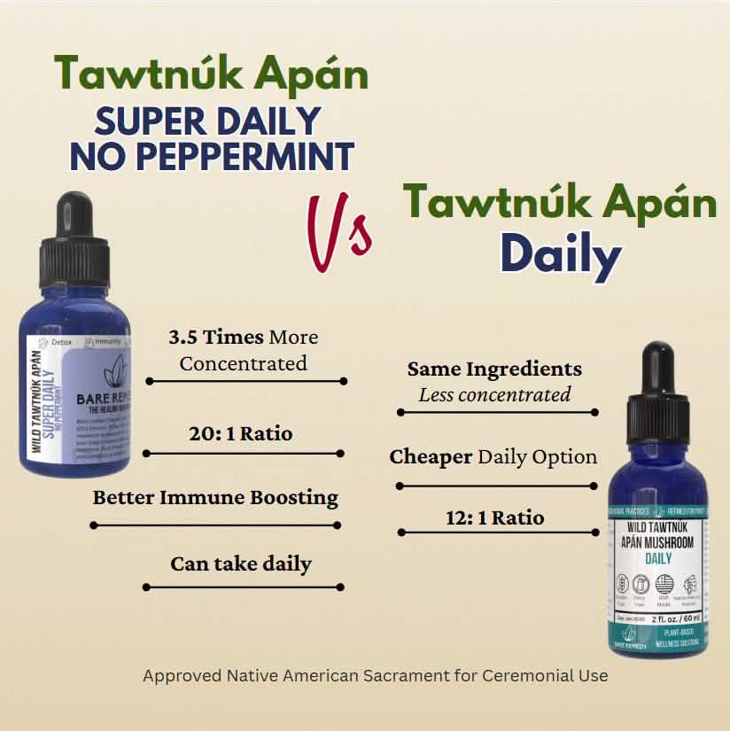 Wild Tawtnuk Apán Mushroom Super Daily (No Peppermint) - BareRemedy