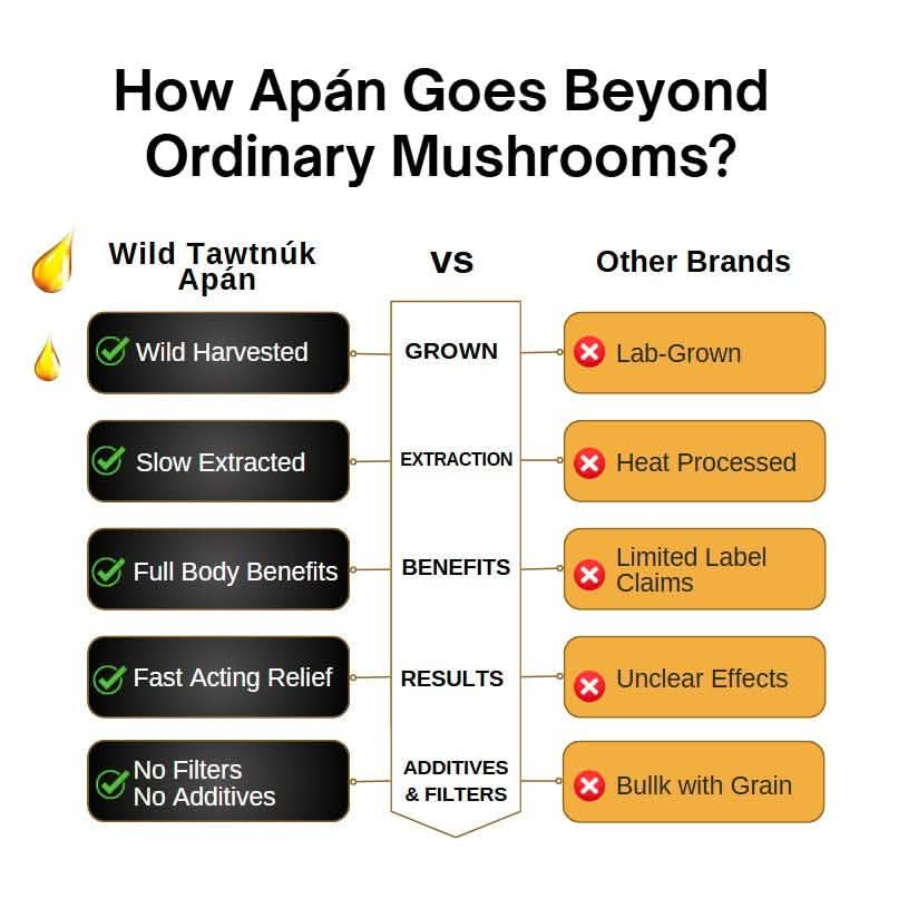 Wild Tawtnuk Apán Mushroom Super Daily (No Peppermint) - BareRemedy