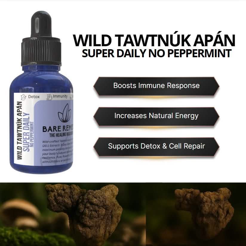 Wild Tawtnuk Apán Mushroom Super Daily (No Peppermint) - BareRemedy