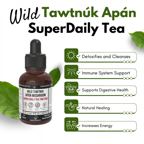 Wild Tawtnuk Apán Mushroom Super Daily Tea Tincture - BareRemedy
