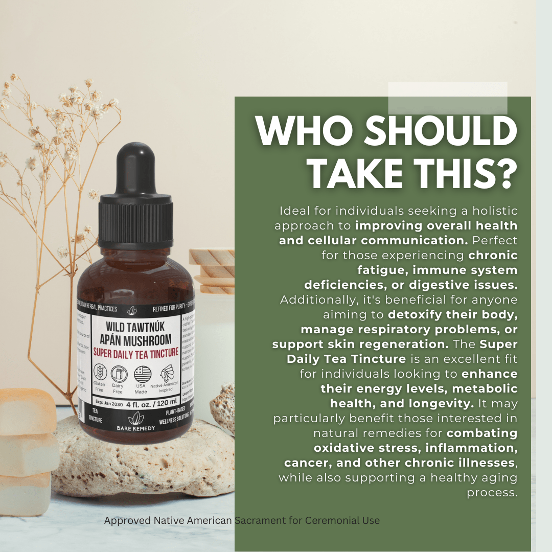 Wild Tawtnuk Apán Mushroom Super Daily Tea Tincture - BareRemedy