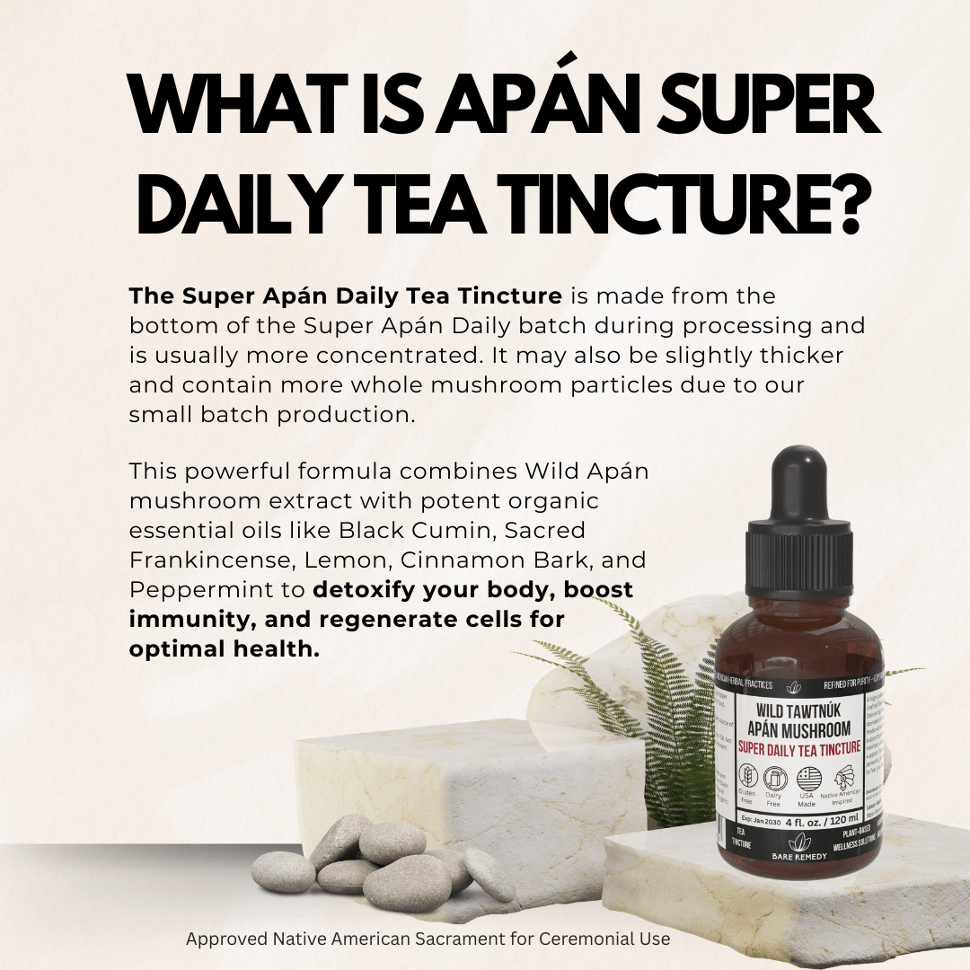 Wild Tawtnuk Apán Mushroom Super Daily Tea Tincture - BareRemedy