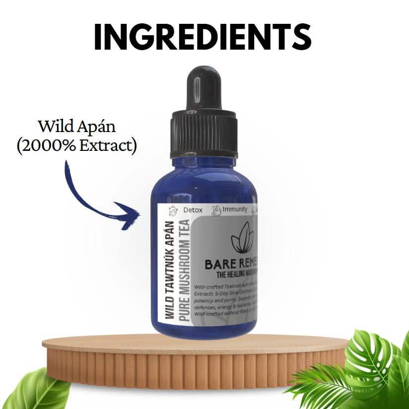 Wild Tawtnuk Apán Pure Mushroom Super Daily - BareRemedy