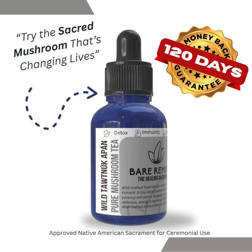 Wild Tawtnuk Apán Pure Mushroom Super Daily - BareRemedy