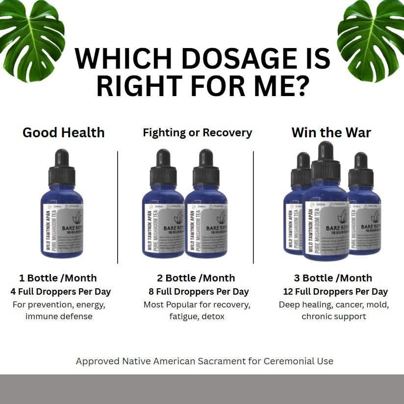 Wild Tawtnuk Apán Pure Mushroom Super Daily - BareRemedy