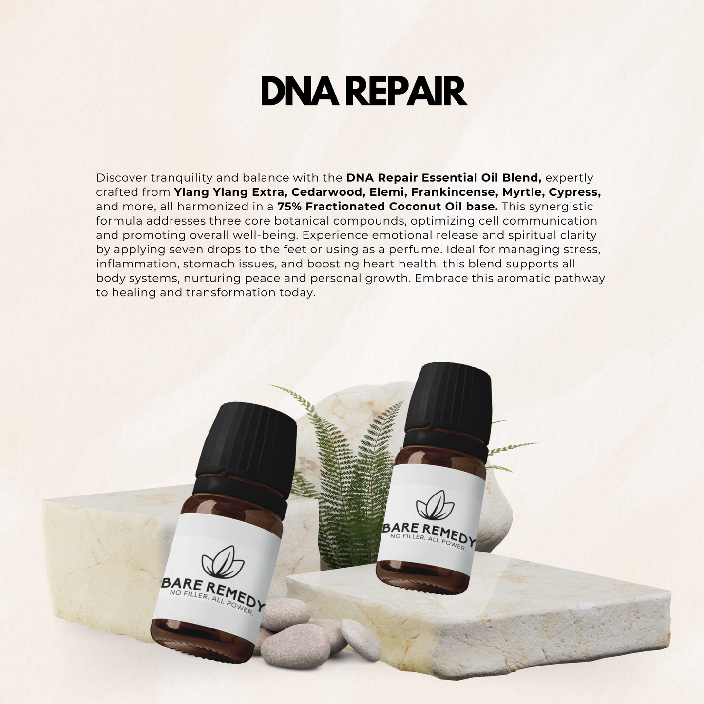 DNA Repair