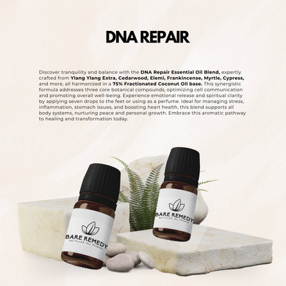 DNA Repair