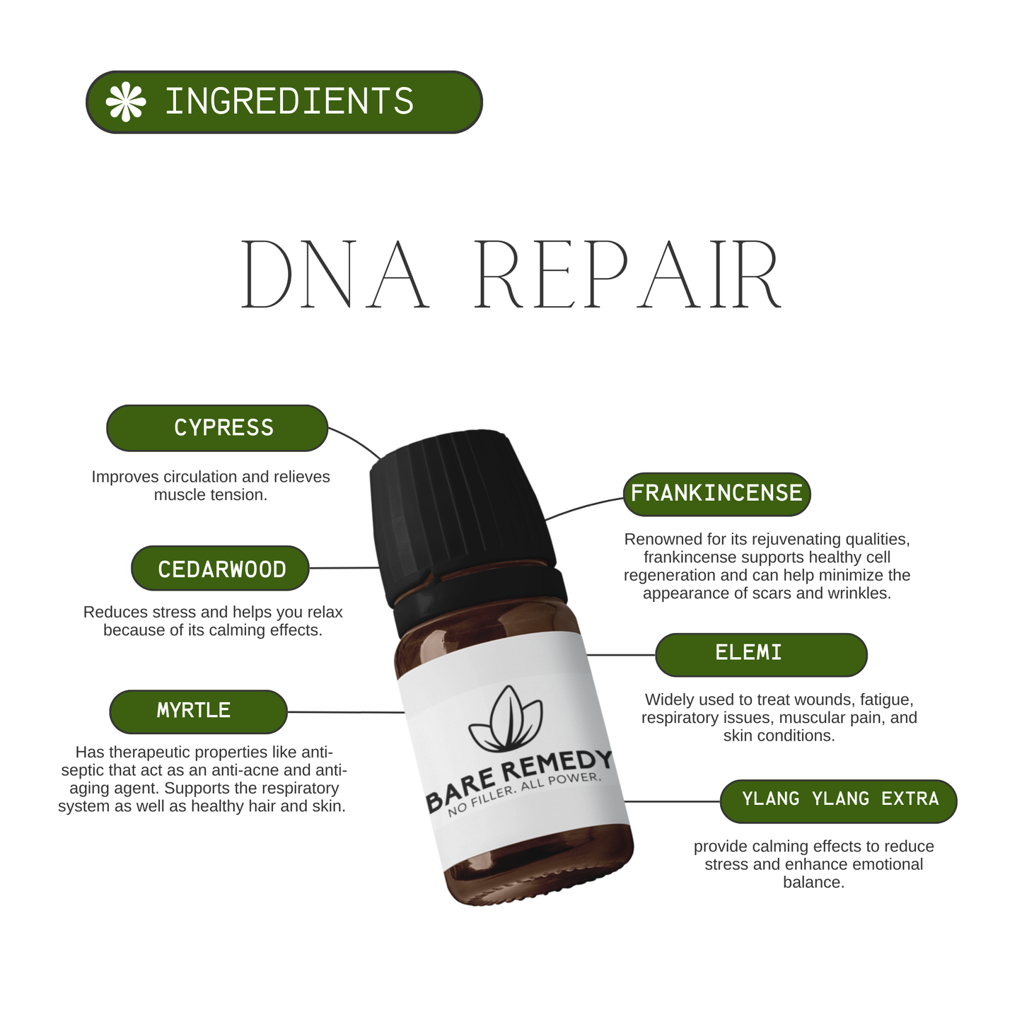 DNA Repair
