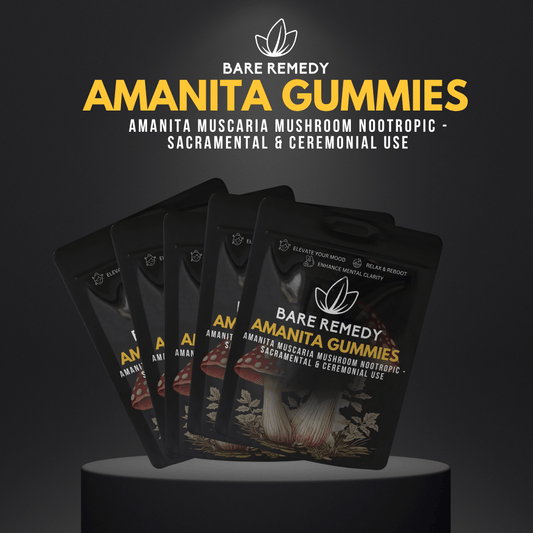 5 Pack Amanita Gummies - BareRemedy