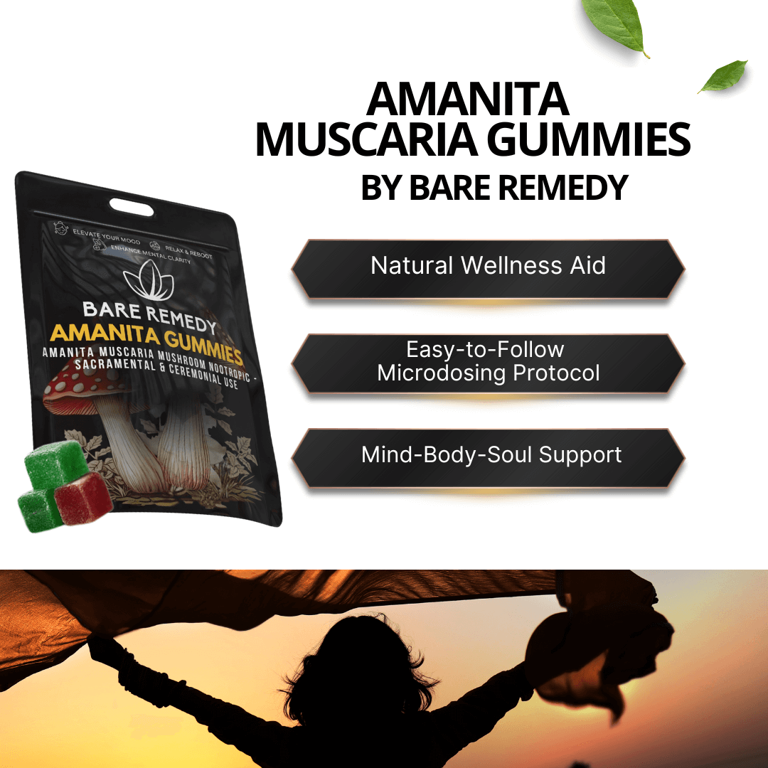 5 Pack Amanita Gummies - BareRemedy