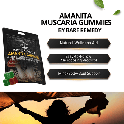 5 Pack Amanita Gummies - BareRemedy