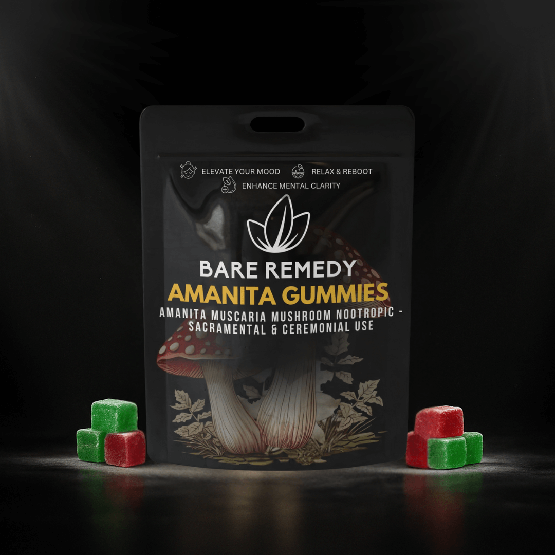 5 Pack Amanita Gummies - BareRemedy