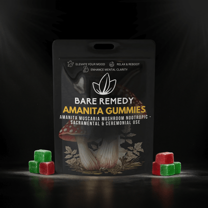 5 Pack Amanita Gummies - BareRemedy