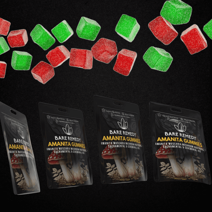 5 Pack Amanita Gummies - BareRemedy