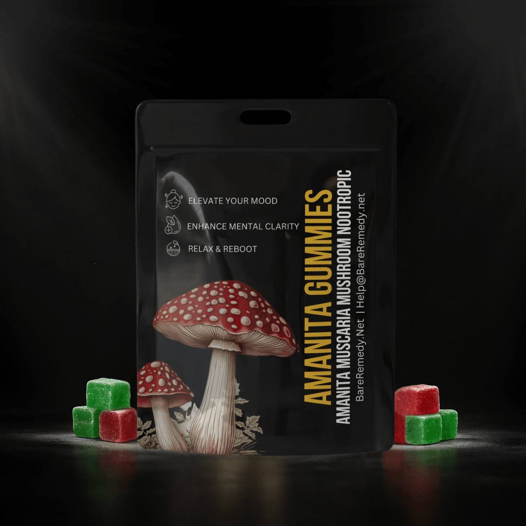 5 Pack Amanita Gummies - BareRemedy