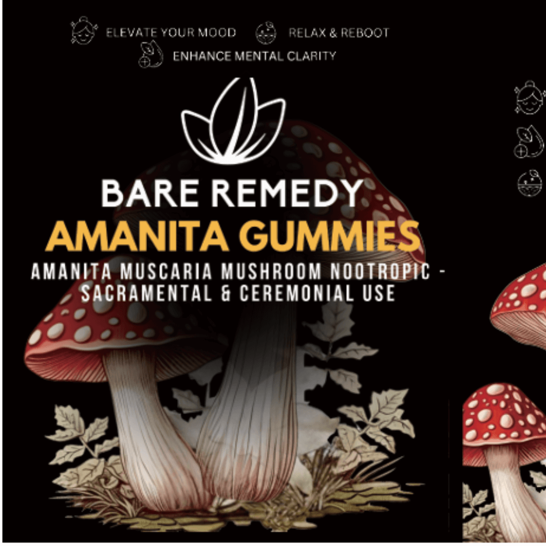 5 Pack Amanita Gummies - BareRemedy