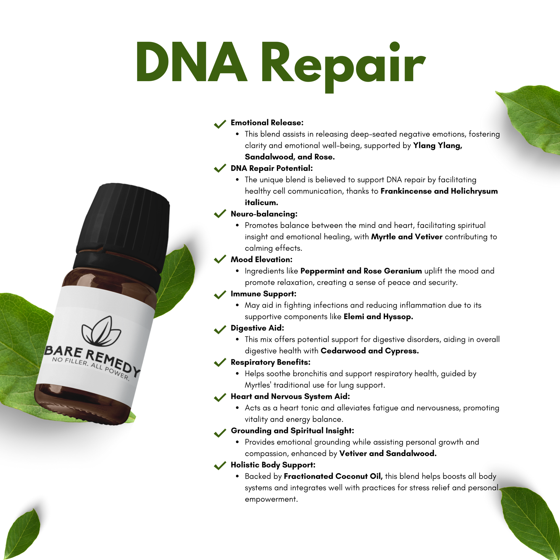 DNA Repair
