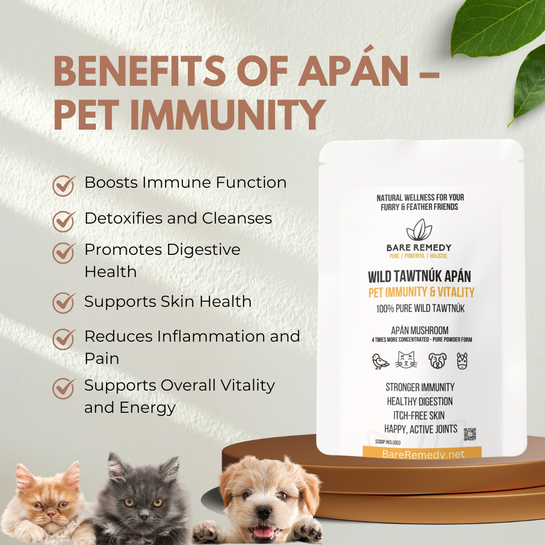 Apán - Pet Immunity - BareRemedy