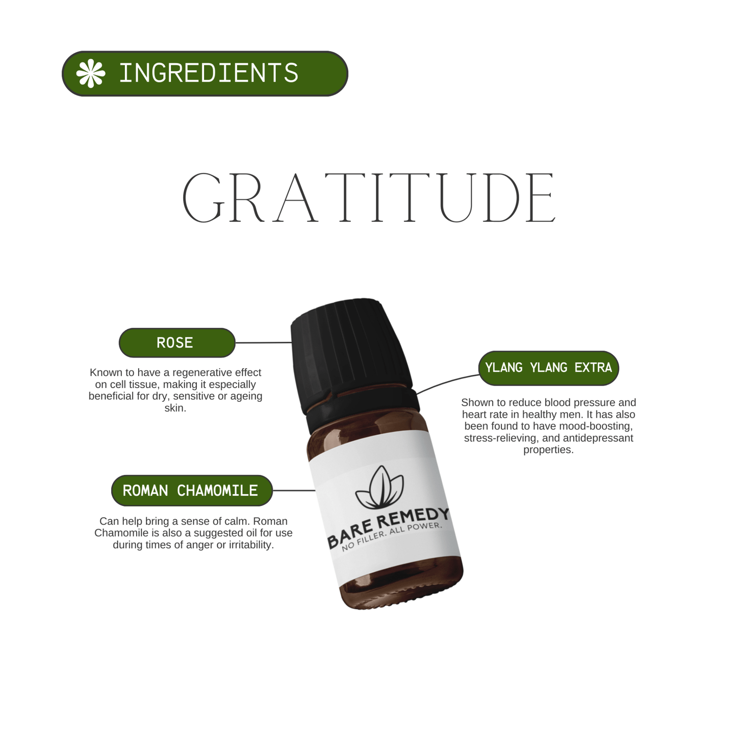 Gratitude - BareRemedy