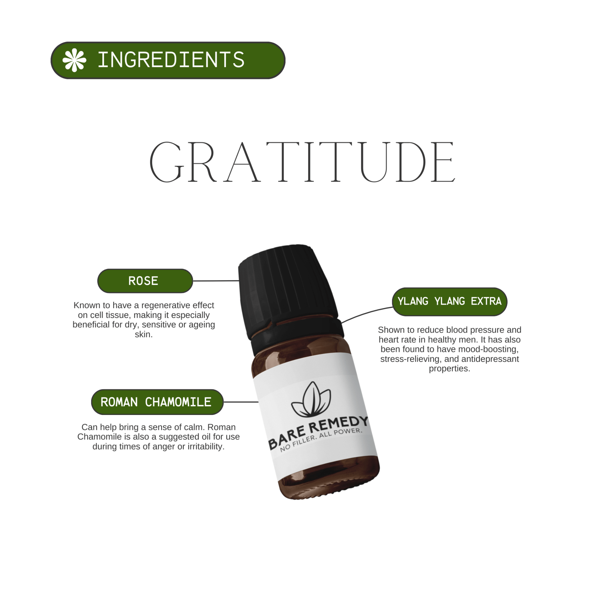 Gratitude - BareRemedy