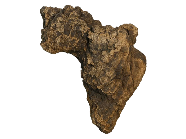 Why Choose Bare Remedy?