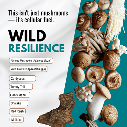 Wild Resilience - 15 ml - BareRemedy