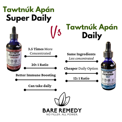 Wild Tawtnuk Apán Mushroom Daily (Children’s) - BareRemedy