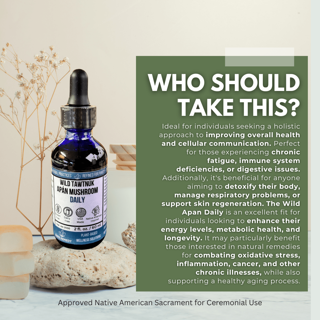 Wild Tawtnuk Apán Mushroom Daily (Children’s) - BareRemedy