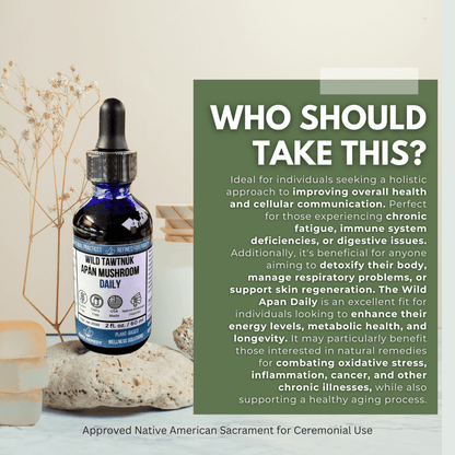 Wild Tawtnuk Apán Mushroom Daily (Children’s) - BareRemedy