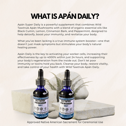 Wild Tawtnuk Apán Mushroom Daily (Children’s) - BareRemedy