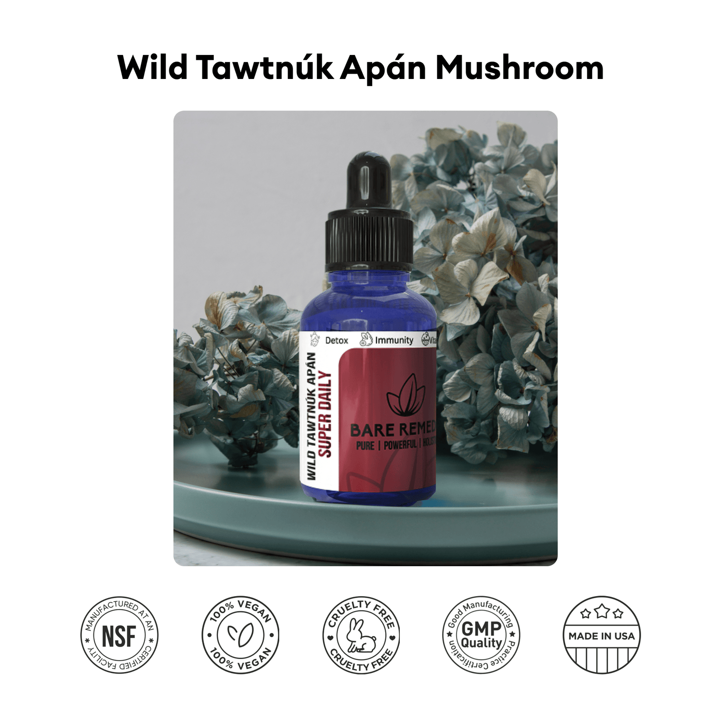 Wild Tawtnuk Apán Mushroom Super Daily - BareRemedy