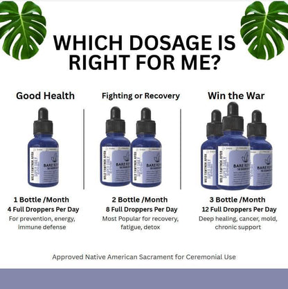 Wild Tawtnuk Apán Mushroom Super Daily (No Peppermint) - BareRemedy