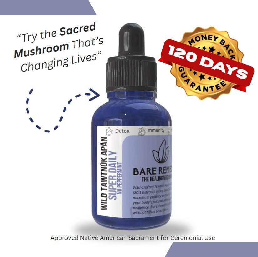 Wild Tawtnuk Apán Mushroom Super Daily (No Peppermint) - BareRemedy