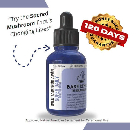 Wild Tawtnuk Apán Mushroom Super Daily (No Peppermint) - BareRemedy