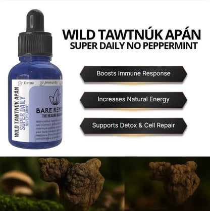 Wild Tawtnuk Apán Mushroom Super Daily (No Peppermint) - BareRemedy