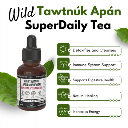 Wild Tawtnuk Apán Mushroom Super Daily Tea Tincture - BareRemedy