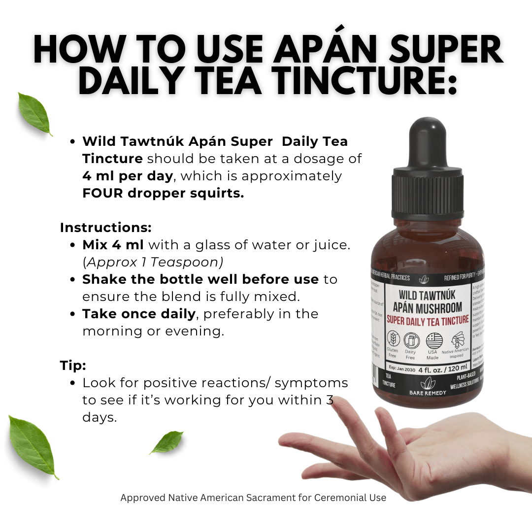 Wild Tawtnuk Apán Mushroom Super Daily Tea Tincture - BareRemedy