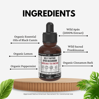 Wild Tawtnuk Apán Mushroom Super Daily Tea Tincture - BareRemedy