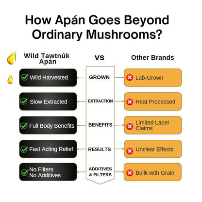 Wild Tawtnuk Apán Pure Mushroom Super Daily - BareRemedy